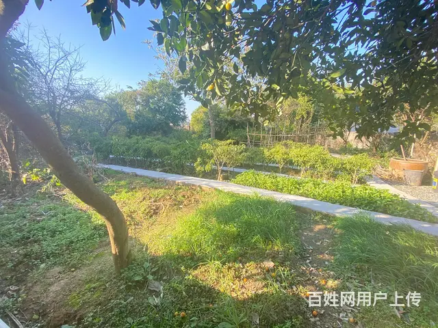 (房东直租)松雅湖，东八线旁600平厂房，带鱼塘菜地优价出租 - 图片 11
