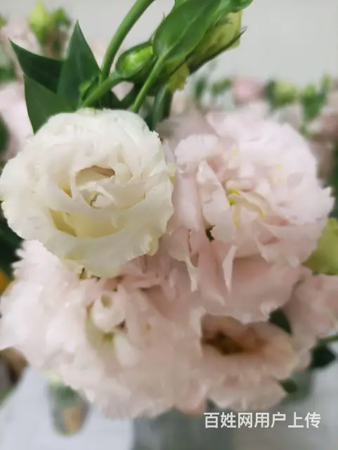 ，拎包入住，宾馆一样方便 ，更实惠，夏天有空调，冬天有暖气 - 图片 3