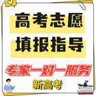 填报高考志愿有哪些机构