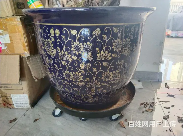 超大花盆 - 图片 2