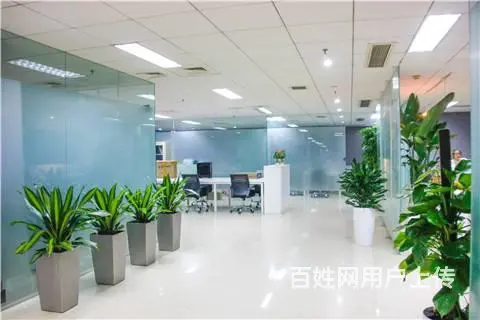 合肥花卉租赁,花卉租赁热线电话,合肥清新园花卉公司 - 图片 1