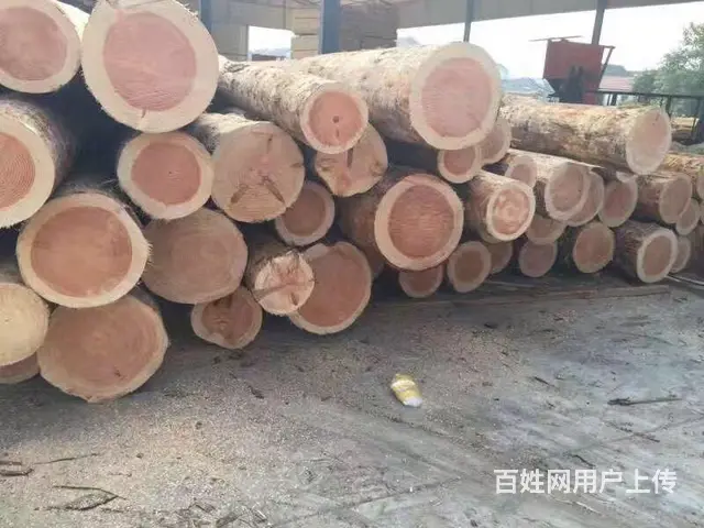 建筑木方模板 - 图片 1