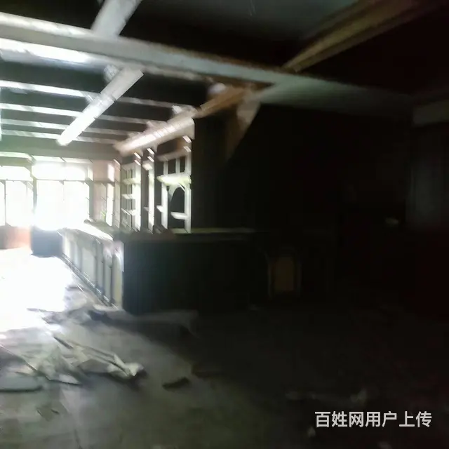 （51旺铺推荐）大东海240平铺面出租 - 图片 11