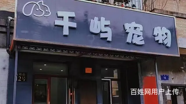 香坊安埠街宠物店 宠物美容店铺转让 - 图片 1