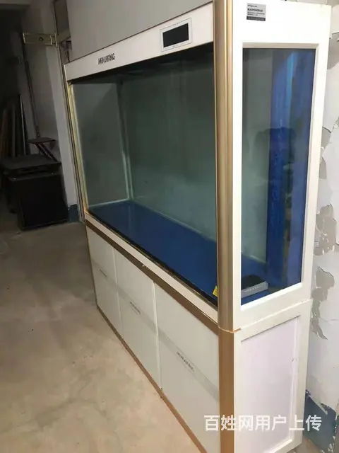 出售二手鱼缸水族箱，闽江鱼缸1.5米底滤鱼缸 - 图片 5