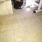小黑猫