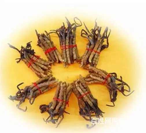 番禺冬虫夏草回收市场价格是多少-上门收购冬虫夏草 - 图片 4