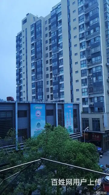 花园新村，家电齐，南北通透。花园小**** - 图片 7