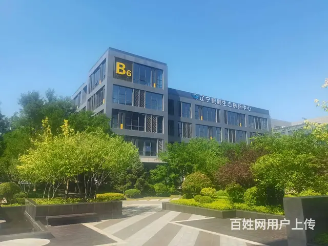 整层1550平精装修 沈阳国际软件园甲方直租 沈本大街地铁口 - 图片 3