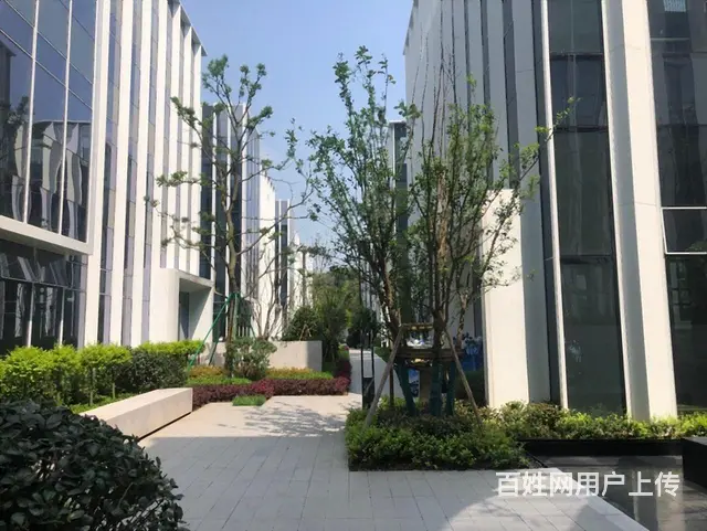 城北独栋带花园大露台滨江运翠轩3200方5000通燃气送车位 - 图片 8