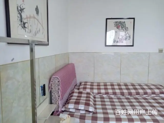 新房公寓，豪华装修，洗衣做饭，拎包入住 - 图片 3