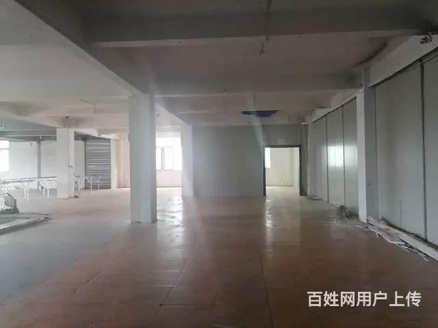 湖里枋湖标准厂房出租  数间仓库＼电商＼办公  大小可分 - 图片 4
