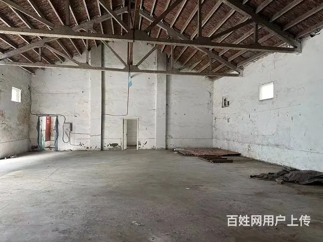 （城市在线找房免费）红星美凯龙北煤港路附近厂房出租 - 图片 7