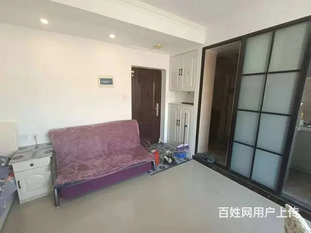 爱丽香舍 普通住宅1厅 中等装修 - 图片 2