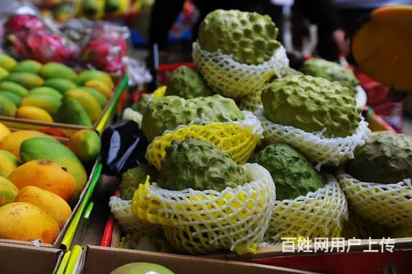 博鳌镇特产大全 博鳌镇土特产推荐 博鳌镇有什么特产 - 图片 4