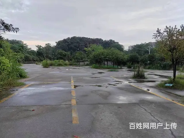 （老板本人）雨花区汽车南站水泥硬化空地招租（可分租）5972 - 图片 2