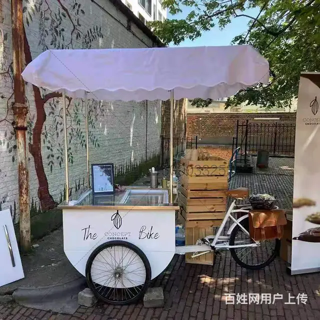 可移动冰淇淋花车电动倒骑驴 - 图片 1