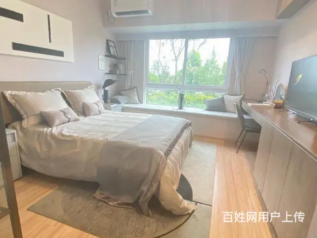 湖景高端准现房！靠近高铁站（车位）s4轻轨始发站 - 图片 11