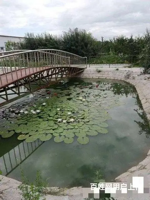 阿城舍利街厂房别墅出售 - 图片 5