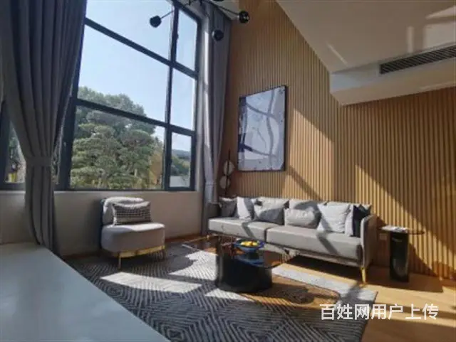 淹城对面新出复式公寓南北通透民用水电送大阳台准现房 - 图片 6