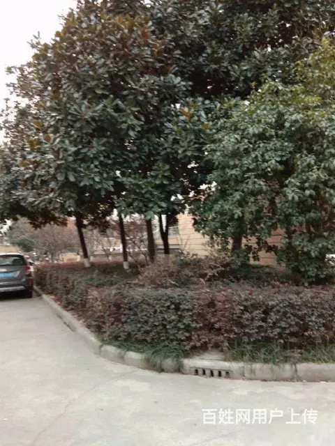 常州往北，泰兴虹桥悦澜湾均价7500起，南北通透，准现房 - 图片 1