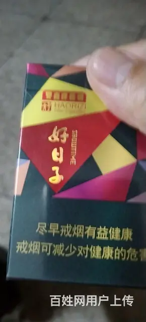 个人私房，商住两用 - 图片