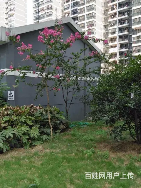 4号线地铁口 东沙花园 东湖景园 温馨小两室高性价 - 图片 12