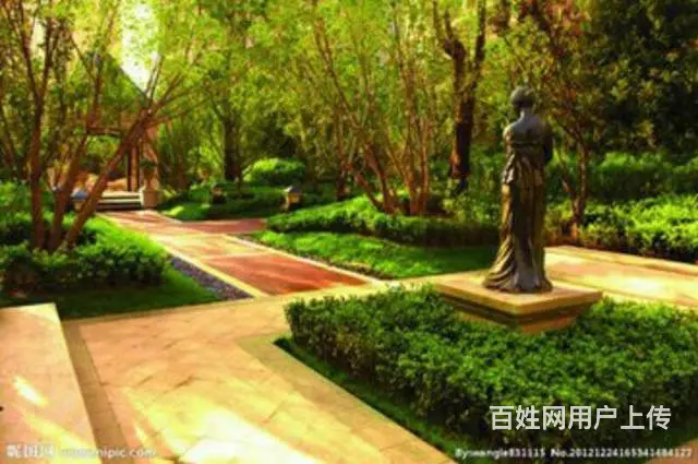 楼王位置标准户型首付一万首付可分期交一万立减三万 - 图片 10