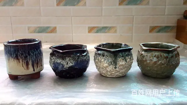 出多肉花盆 - 图片 1