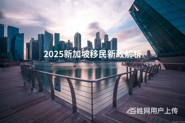 2025新加坡移民新政解析 - 图片