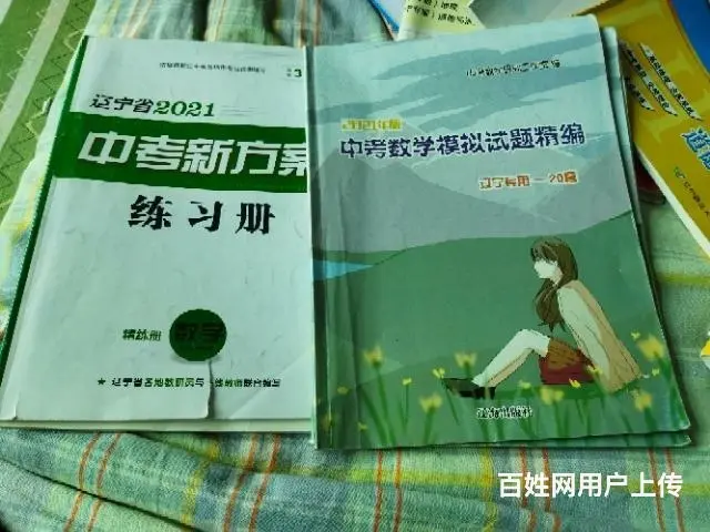 中考教材初一初二书初三练习册参考书等 - 图片 8
