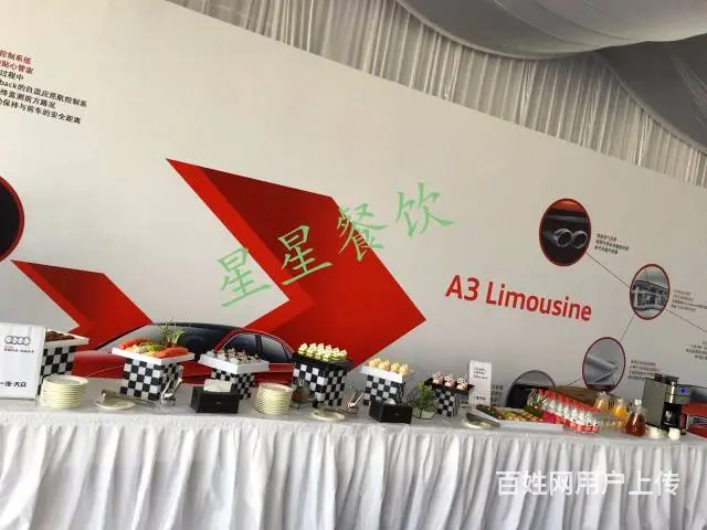 哈尔滨唯一高端楼盘.服装.珠宝.汽车酒会冷餐会策划 - 图片 2