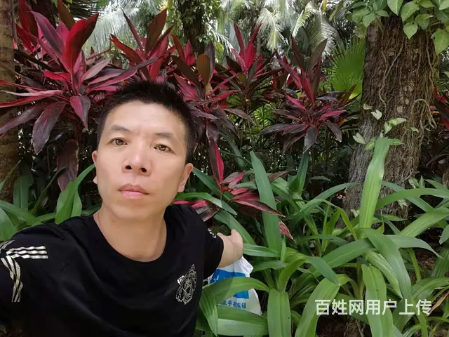合适领证。 - 图片 2