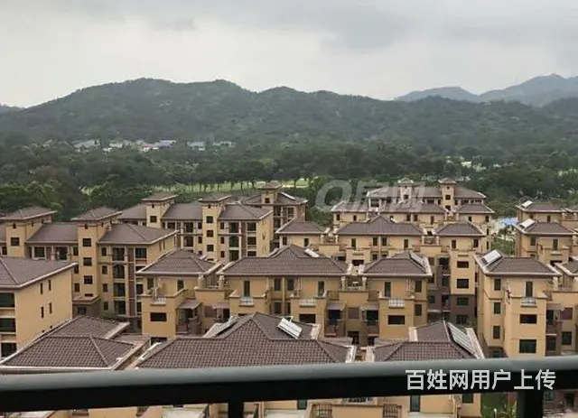 业主直租凤凰兰亭一房一厅靓房 - 图片 1