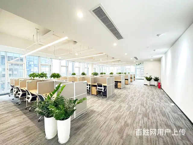 天府菁蓉中心兴隆湖低密阔办公全装全配环保办公家居 - 图片 12