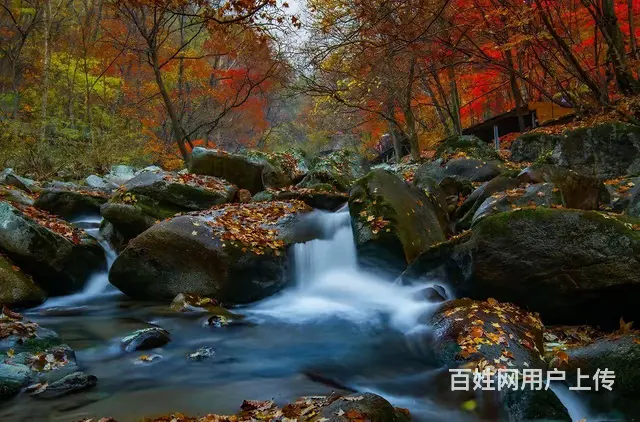 九连城独门独户 - 图片