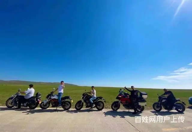 近距离观察立属于天地之间，傲立于大自然的勇者——狼 - 图片 6