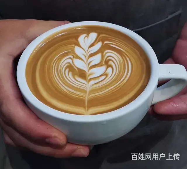 苏州吴中东吴南路咖啡师线下培训班 - 图片 3