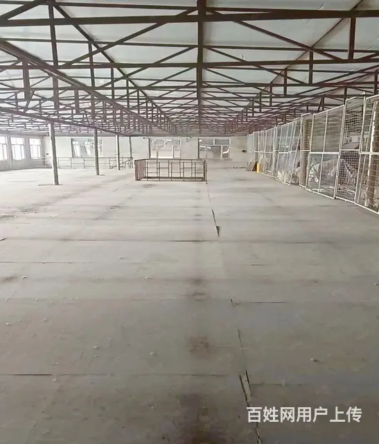 香坊区进乡街黎明大市场后身厂房出租 - 图片 1