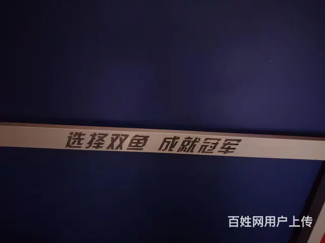 大品牌双鱼乒乓球案子全新低价出售 - 图片 1