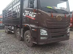 解放 其他 国5