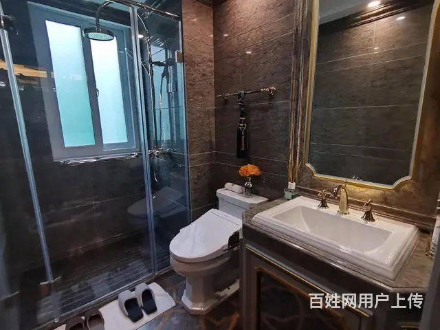！东部美的城.轻轨S1付6碗起，精装修吾悦广场旁 - 图片 3