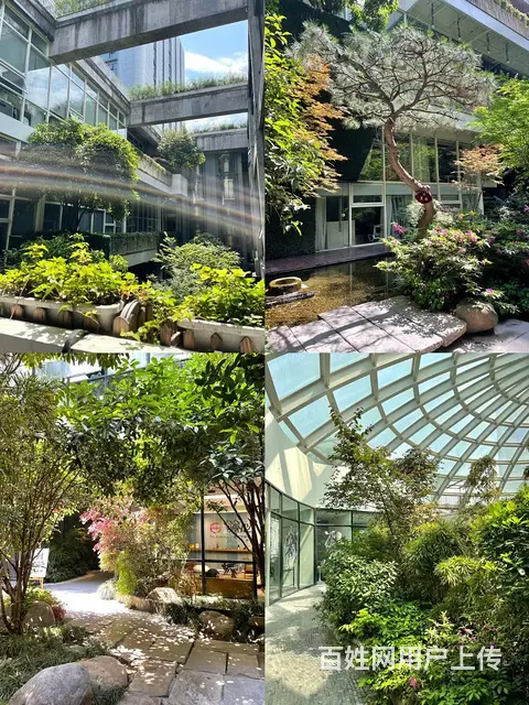 火车东站创业园区 东溪德必易园 loft精装带家具 拎包入驻 - 图片 12