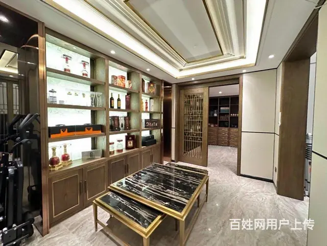 上新 外滩一带二叠墅 挑空客厅 300万豪装 带地下室花园 - 图片 2