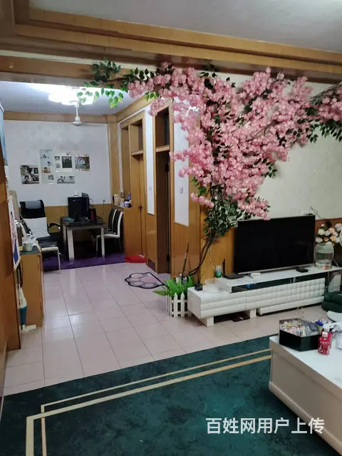 阳光苑社区  精装修 2+2+1 4/6 满5有证无纠纷 - 图片 1