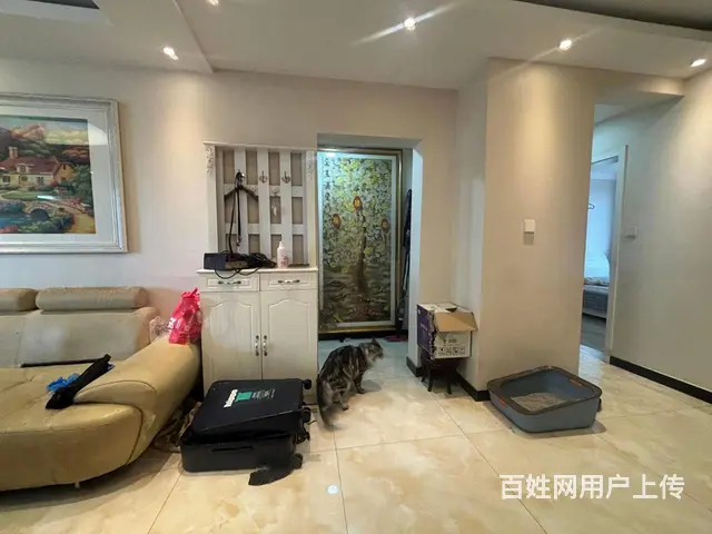 钢铁北路金华19电梯入户好楼层带车位 新小区绿化好采光好有赠 - 图片 10