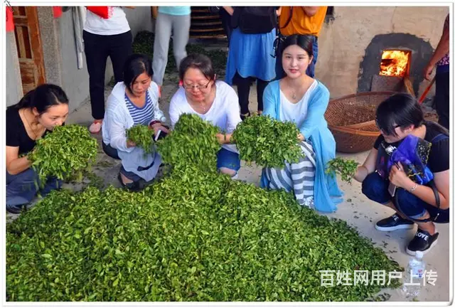 天晟茶艺培训学校招生简章 - 图片 6