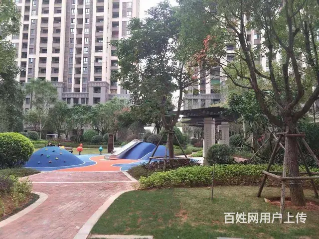 五缘实验，三安光电，彩虹跑道，特房社区精装修三房出租有锁 - 图片 11