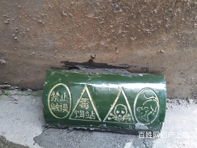 双峰县专业灭鼠灭蟑螂灭白蚁灭四害 - 图片 7