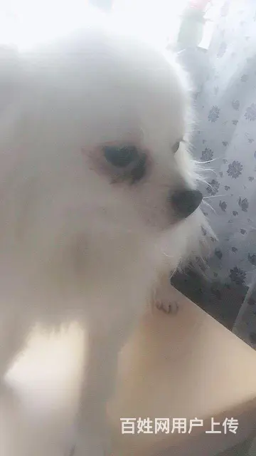 希望看到的好心人帮帮我 - 图片 3